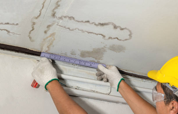 Reliable Mold Remediation contractor in Wilson, NC by Water Damage Irwin